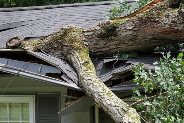Cost of Storm Remediation in North Ridgeville