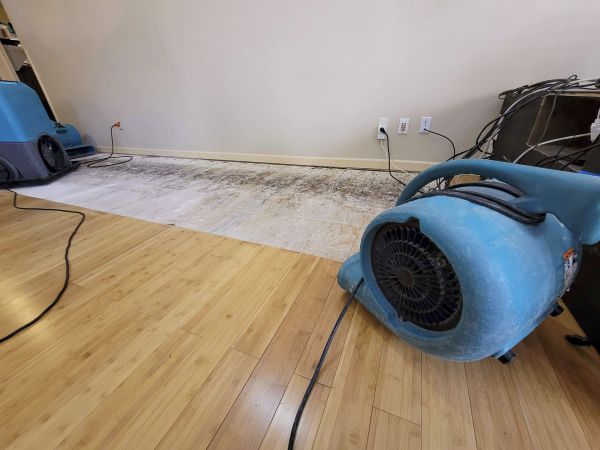 Cost of Water Damage Mitigation in North Ridgeville