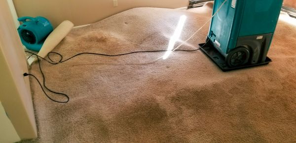 Cost of Flood Damage Cleanup in North Ridgeville