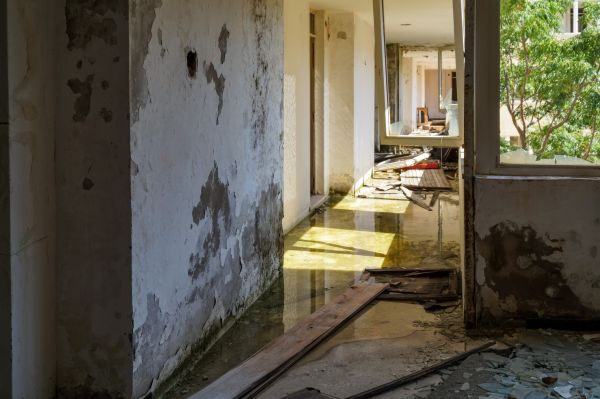 Cost of Water Removal Service in North Ridgeville