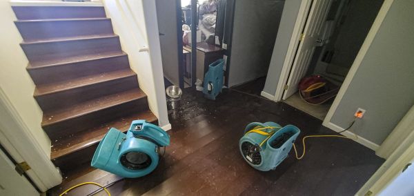 Cost of Water Damage Remediation in North Ridgeville