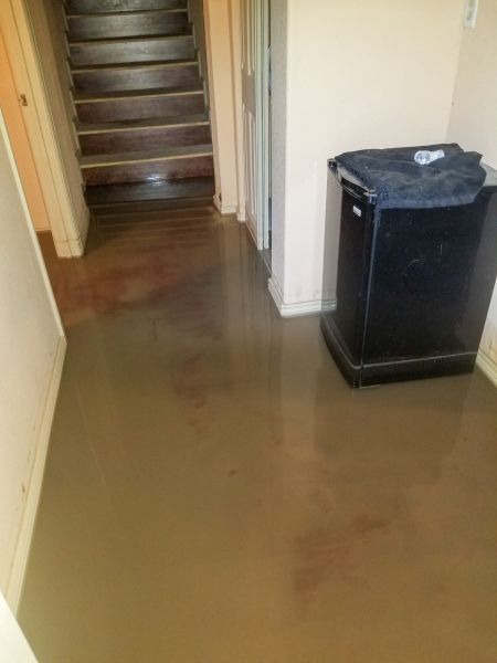 Cost of Emergency Water Removal in North Ridgeville