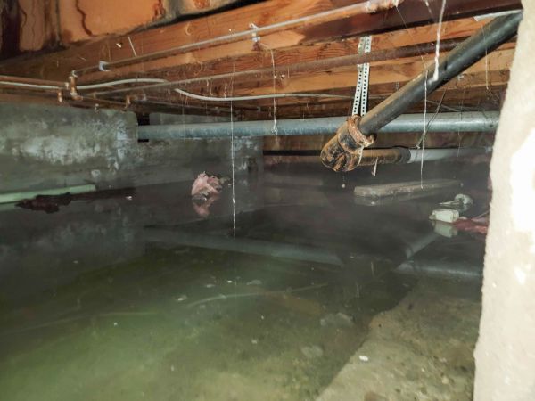 Cost of Crawlspace Water Restoration in North Ridgeville